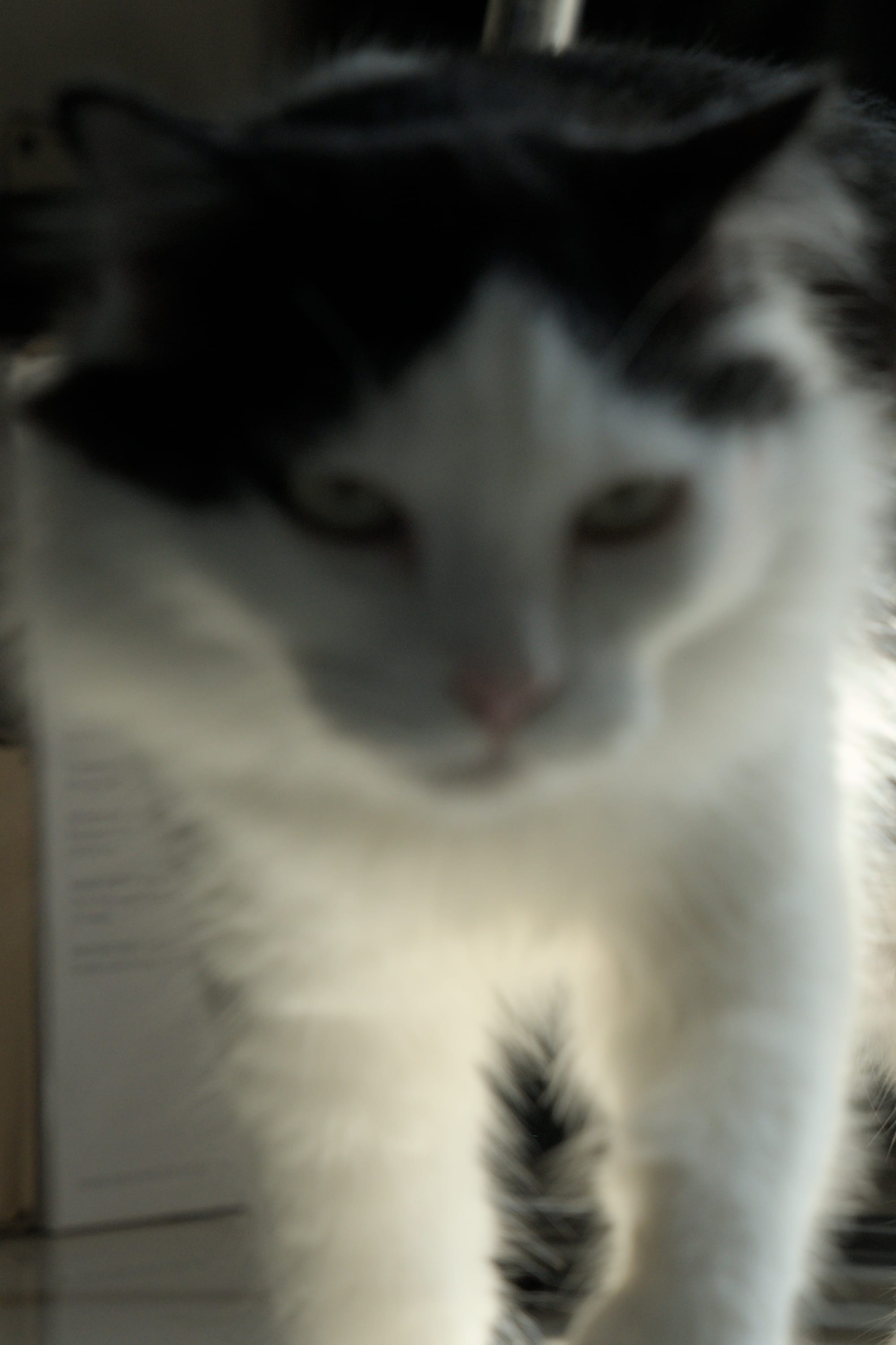 The Same Things Make Us Laugh, Make Us Cry