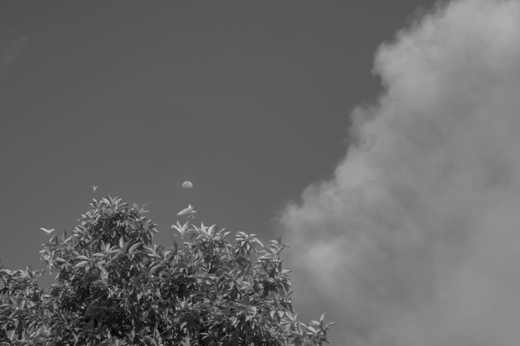 Future Is An illusion